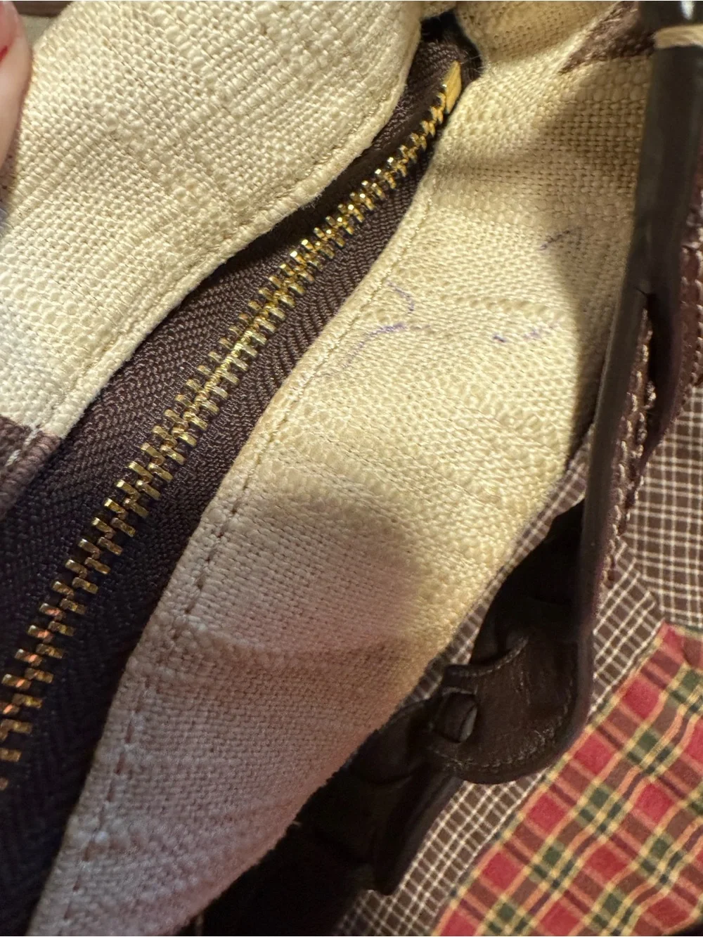 coach carly bag